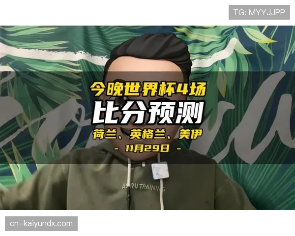 荷兰世界杯数据统计分析